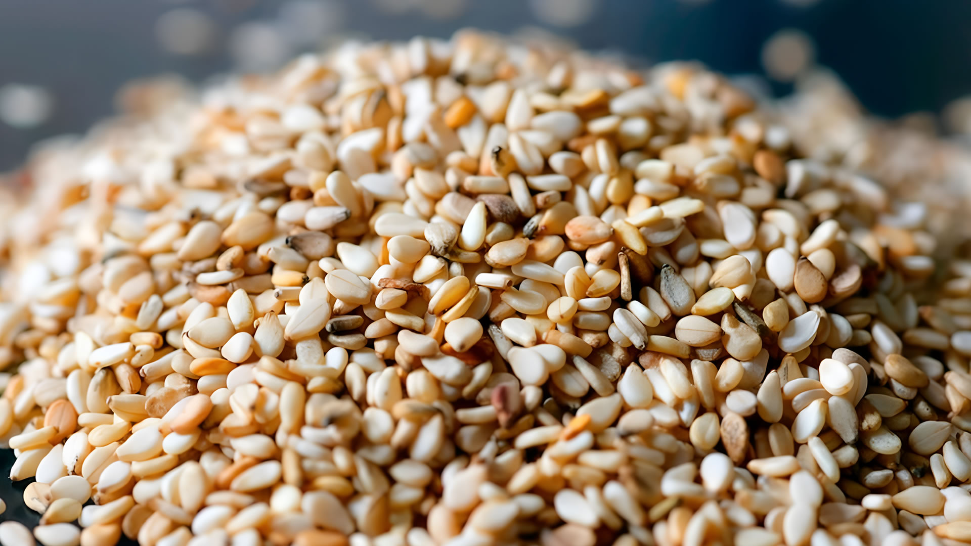 Clean mixed sesame seed close-up